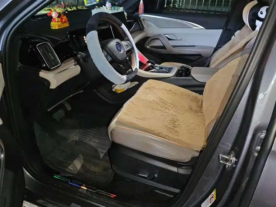 BYD SONGJIANG NEW ENERGY