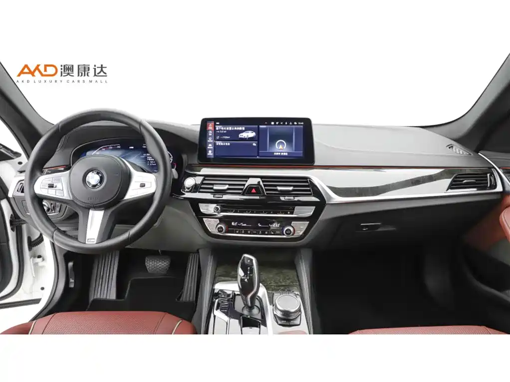BMW 5 Series — миниатюра 5
