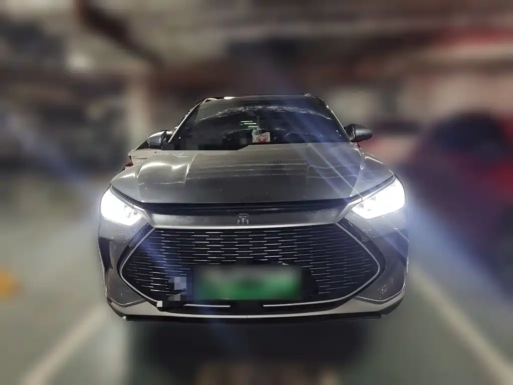 BYD PLUS New Energy — миниатюра 2