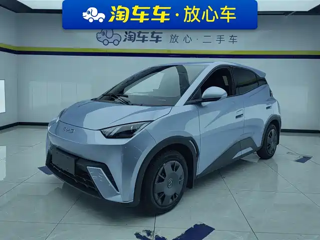 2024 BYD Seagull