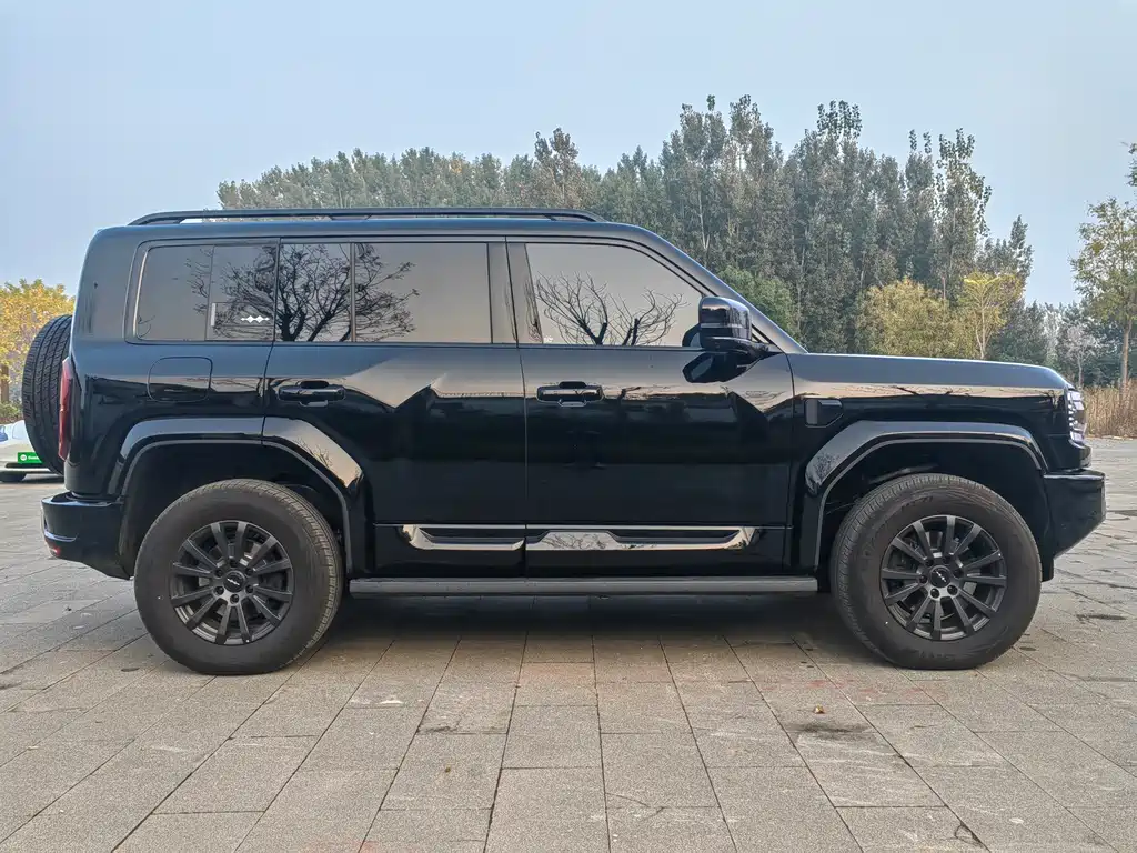 FANG CHENG BAO LEOPARD 5