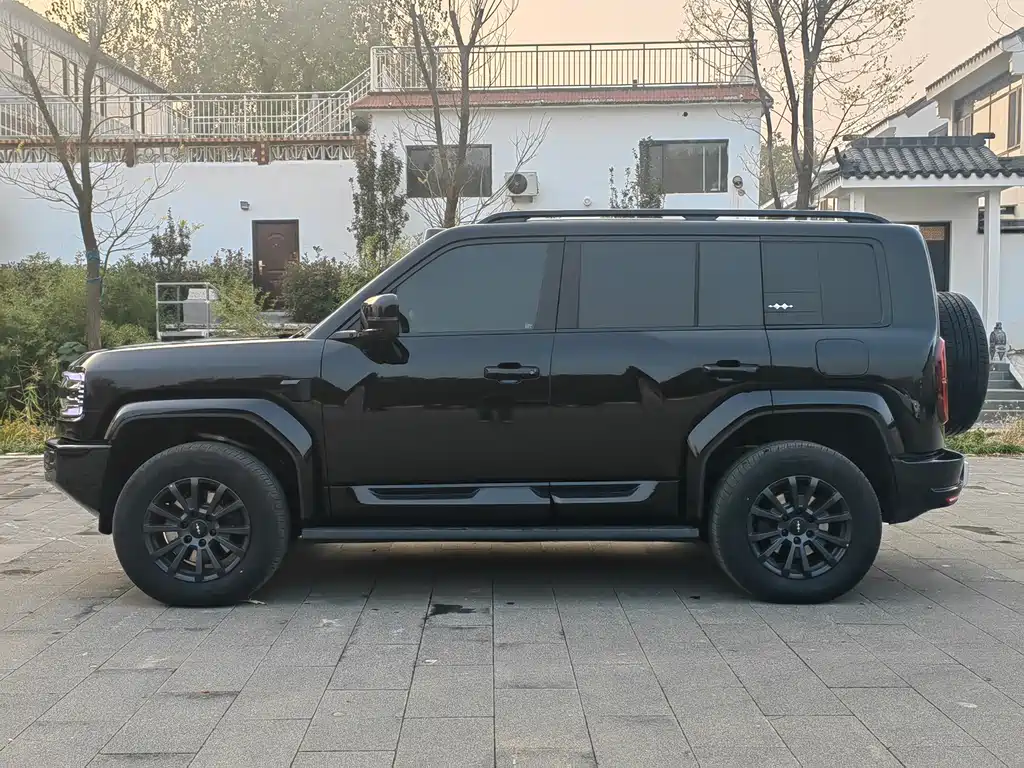 FANG CHENG BAO LEOPARD 5