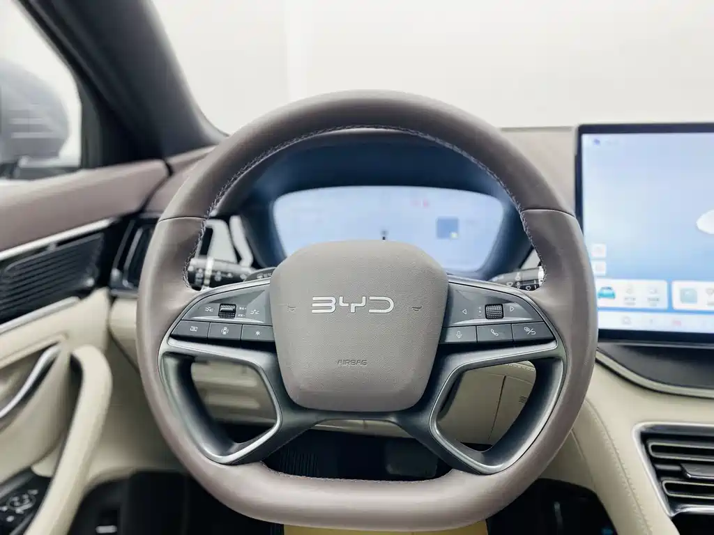 BYD SONGJIANG NEW ENERGY