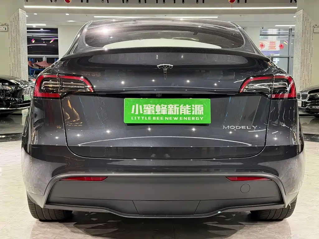 Tesla Model Y — миниатюра 14