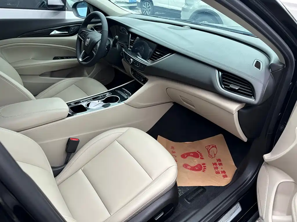 Buick Regal — миниатюра 14