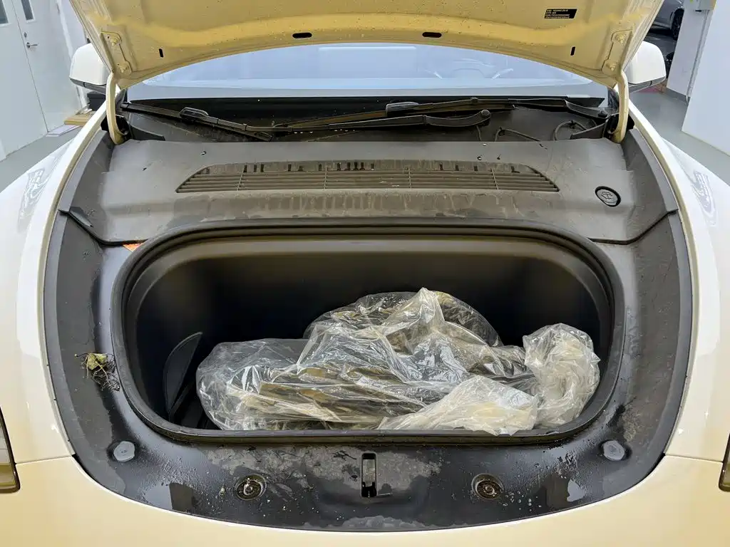 Tesla Model Y — миниатюра 10