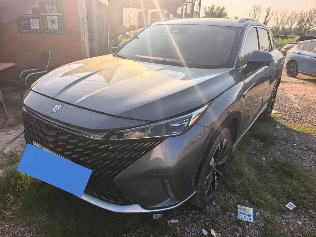 Roewe RX5 New Energy