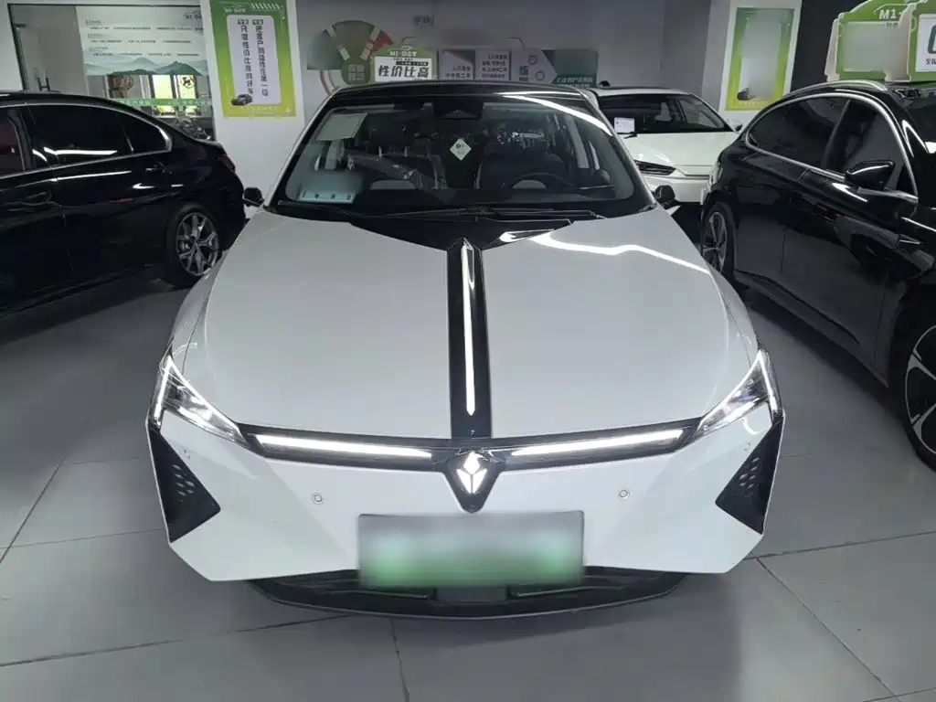Lingxi Lingxi L — миниатюра 3
