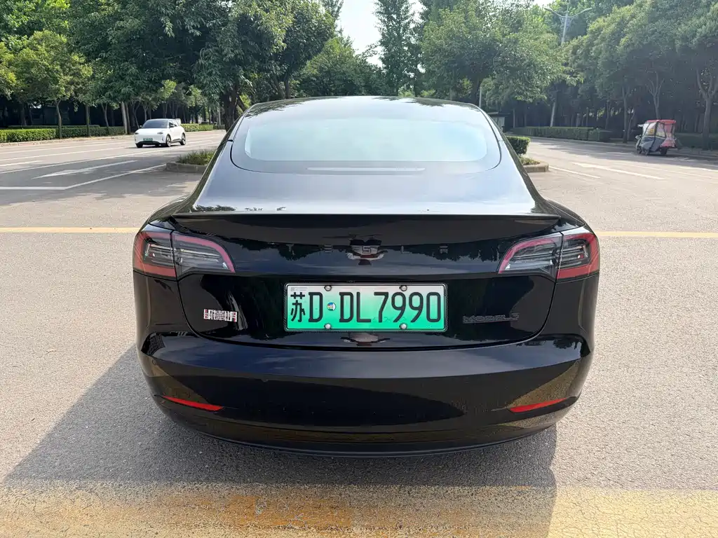 Tesla Model 3 2022 Performance