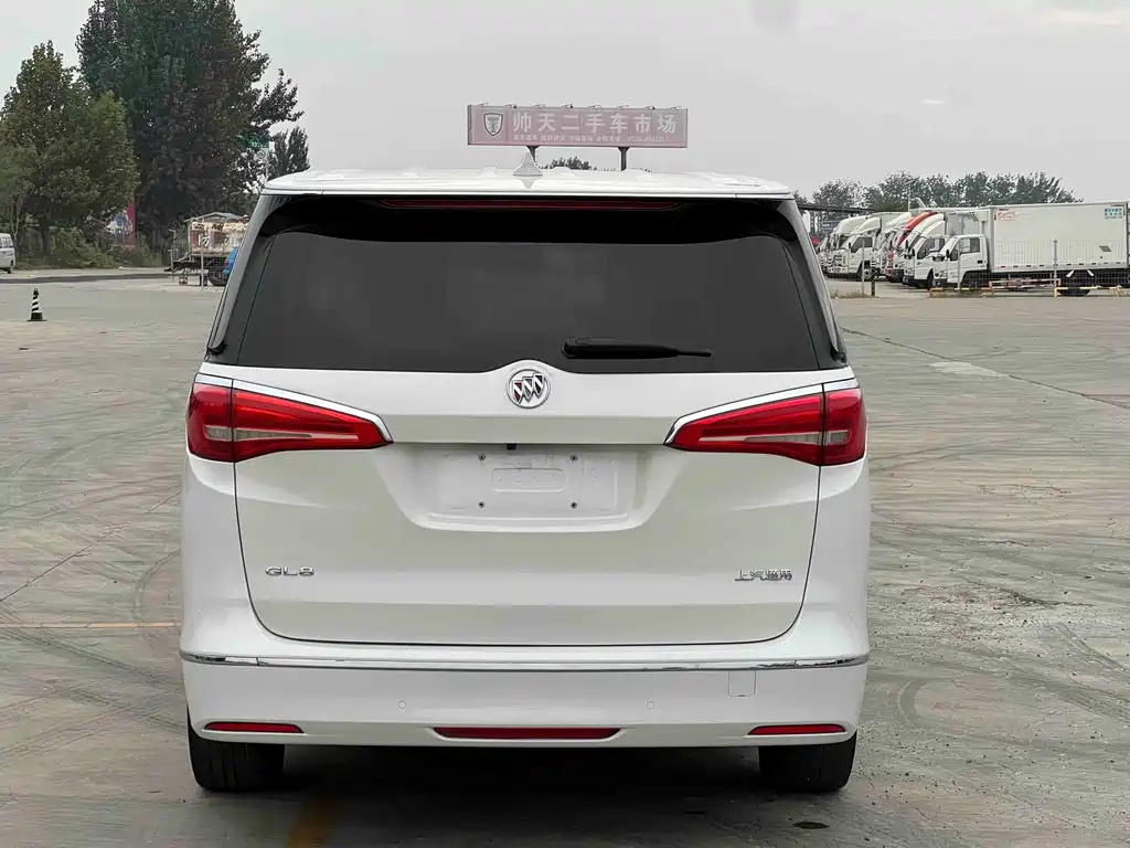 Buick GL8 — миниатюра 4