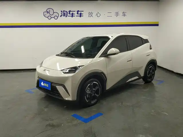 BYD SEAGULL 2024