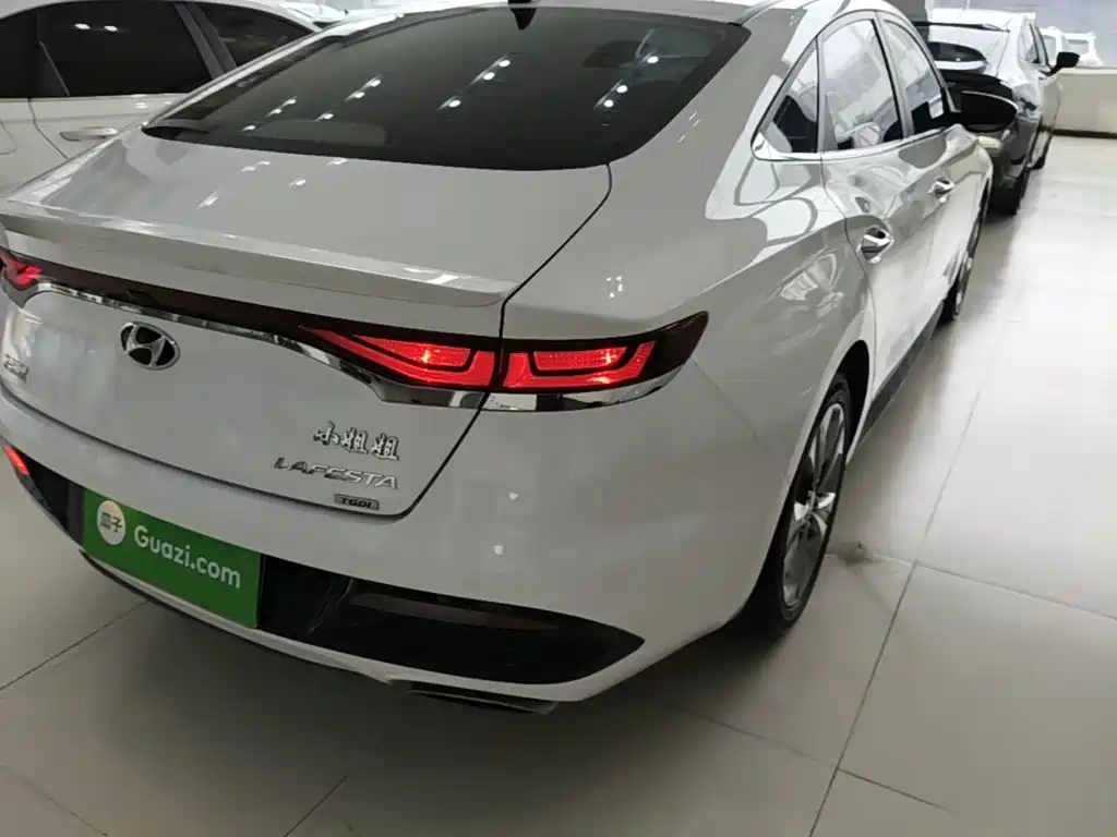 Hyundai Fista — миниатюра 8
