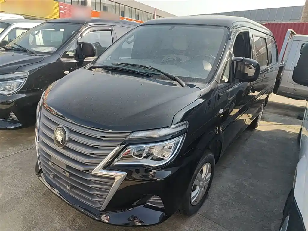 Fengxing Lingzhi 2024