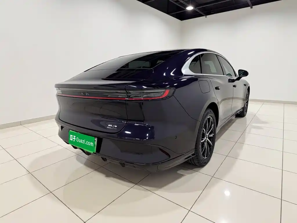 Voyah Passion 2024 PHEV Executive