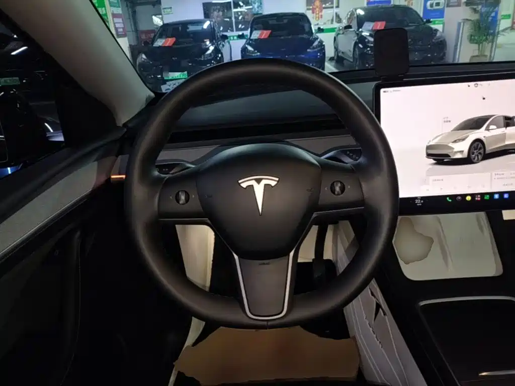 Tesla Model Y — миниатюра 11