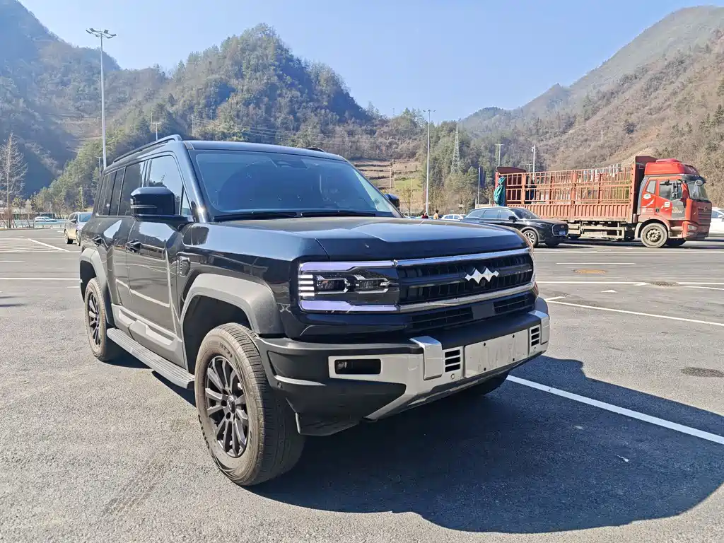 FANG CHENG BAO LEOPARD 5