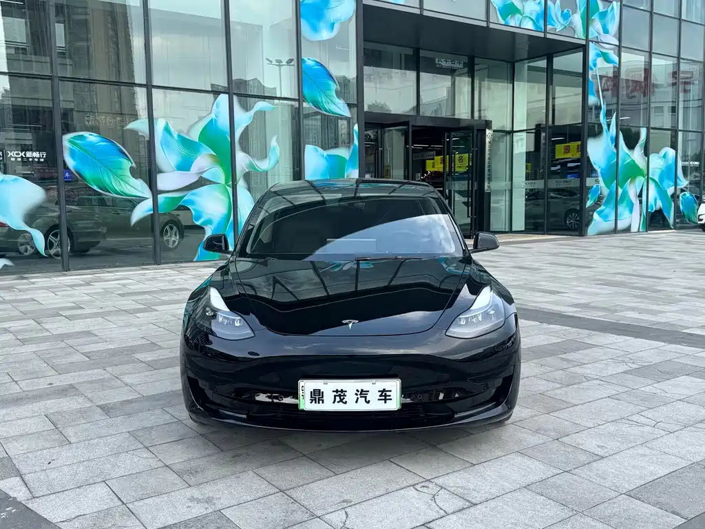 Tesla Model 3 — миниатюра 2