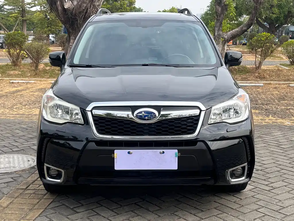 Subaru Forester — миниатюра 10