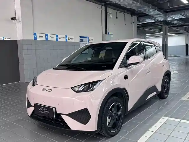 2025 BYD Seagull