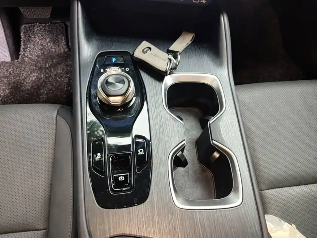 Lexus RZ — миниатюра 14