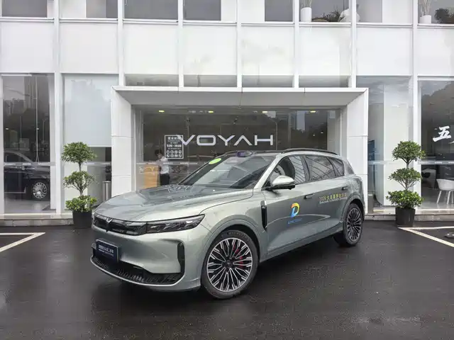 2025 Voyah Free