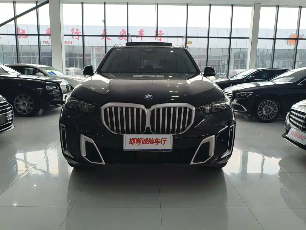 BMW X5 — миниатюра 2