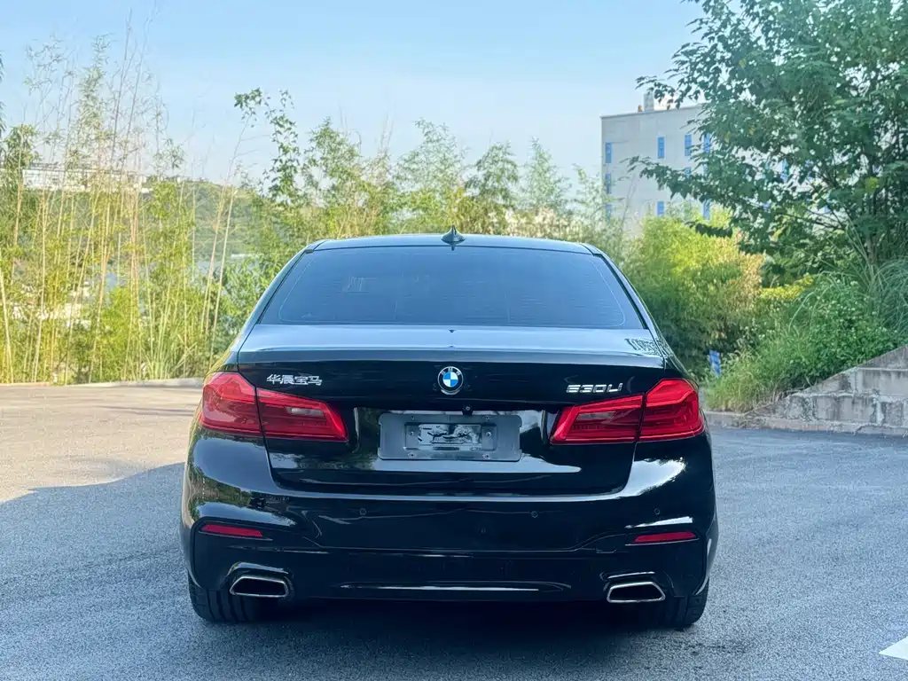 BMW 5 Series — миниатюра 4