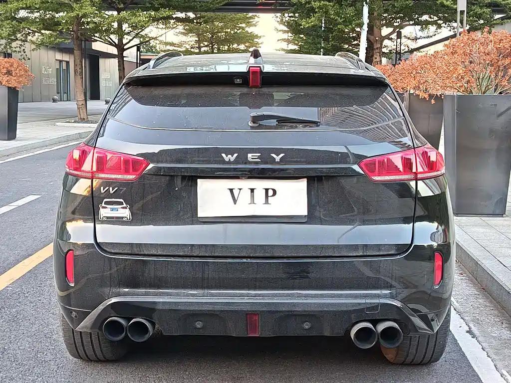 WEI PAI WEI BRAND VV7