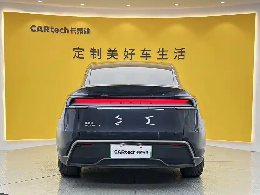 Tesla Model Y — миниатюра 5