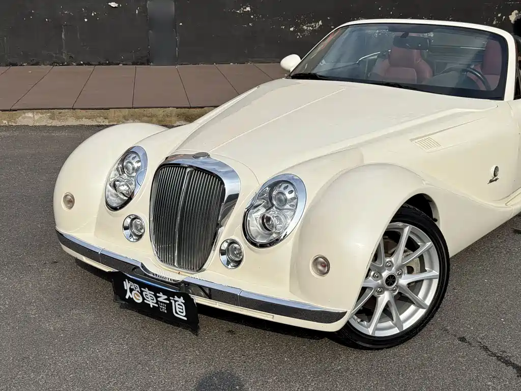Mitsuoka Queen — миниатюра 18