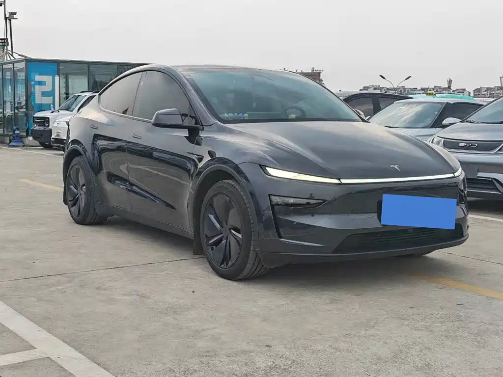 Tesla Model Y — миниатюра 3