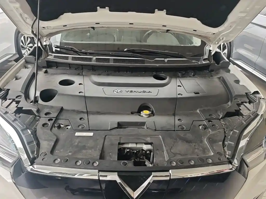 Venucia T60 EV — миниатюра 20