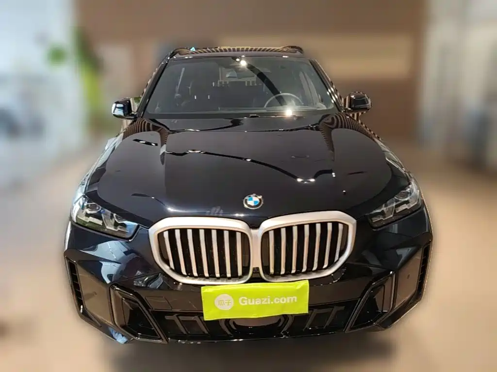 BMW X5 — миниатюра 5