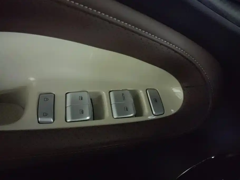 Wuling Binguo 2024 333km Enjoy
