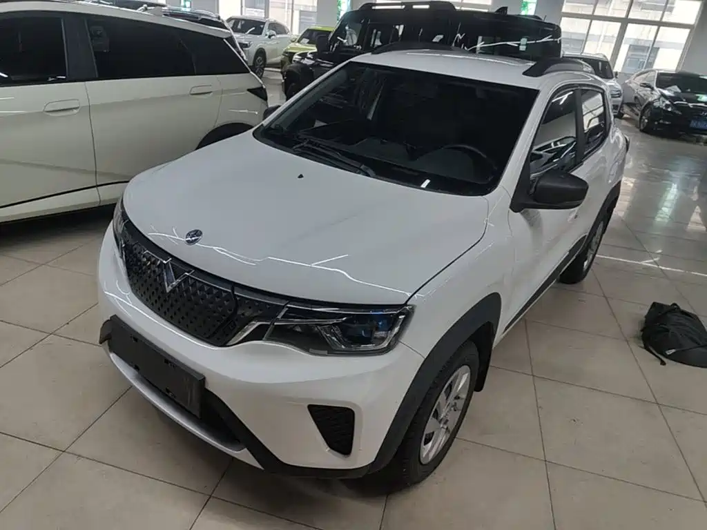 Venucia e30