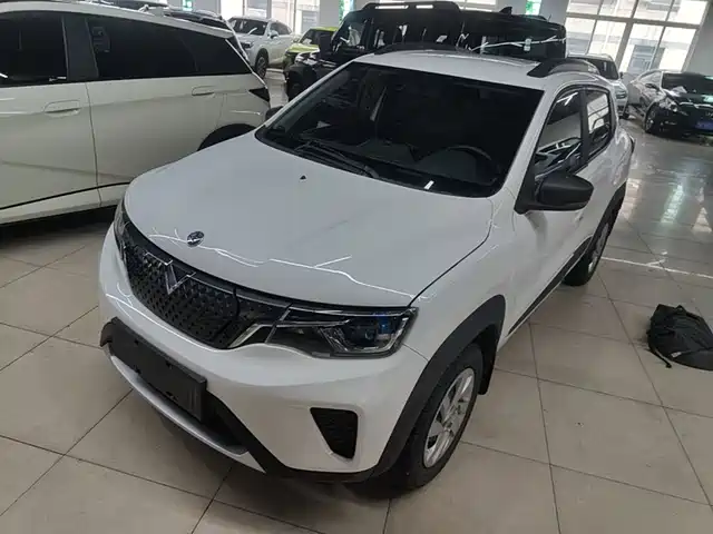 Venucia e30