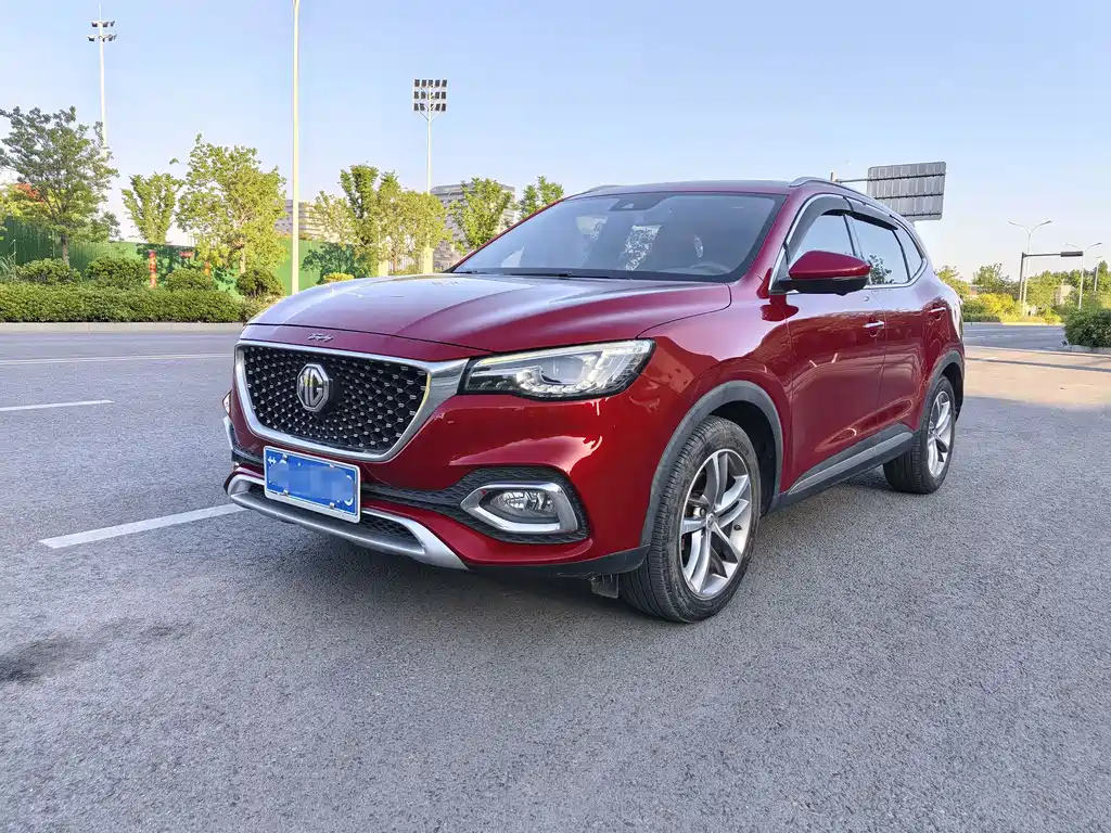 Mg HS 2020
