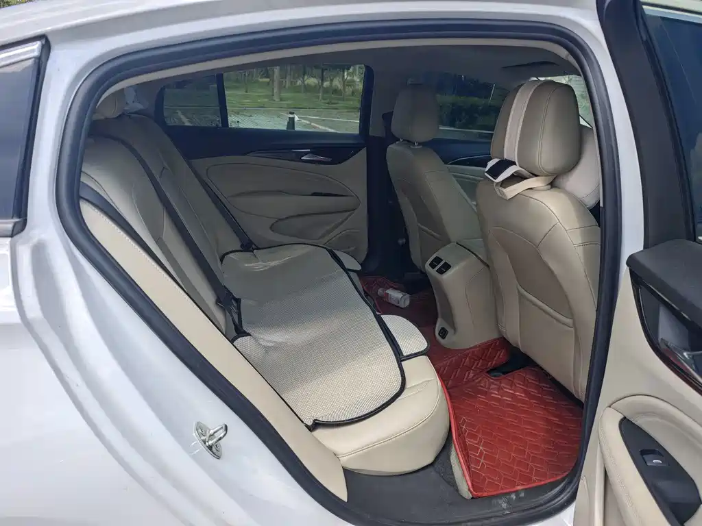 Buick Regal — миниатюра 13