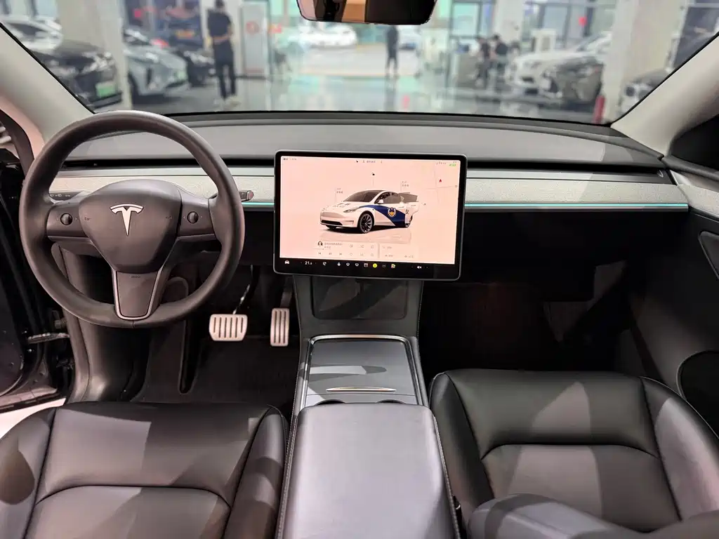 Tesla Model Y — миниатюра 9