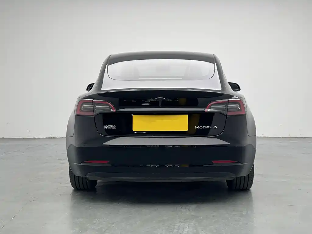 Tesla Model 3 — миниатюра 5