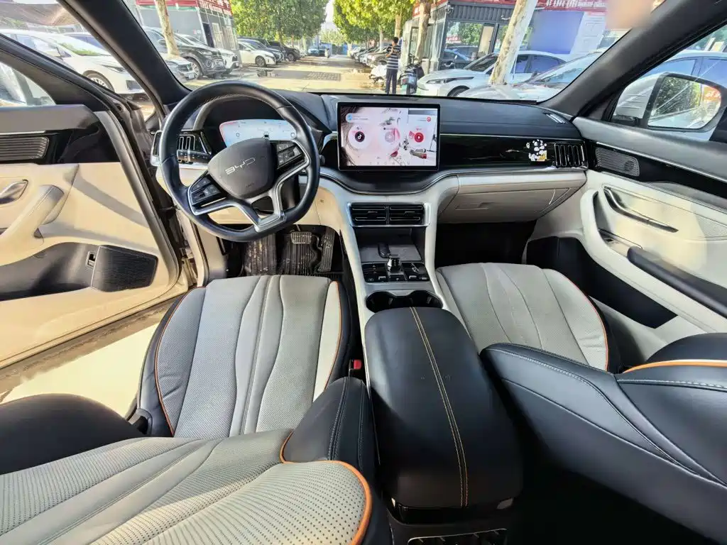 BYD PLUS New Energy — миниатюра 14