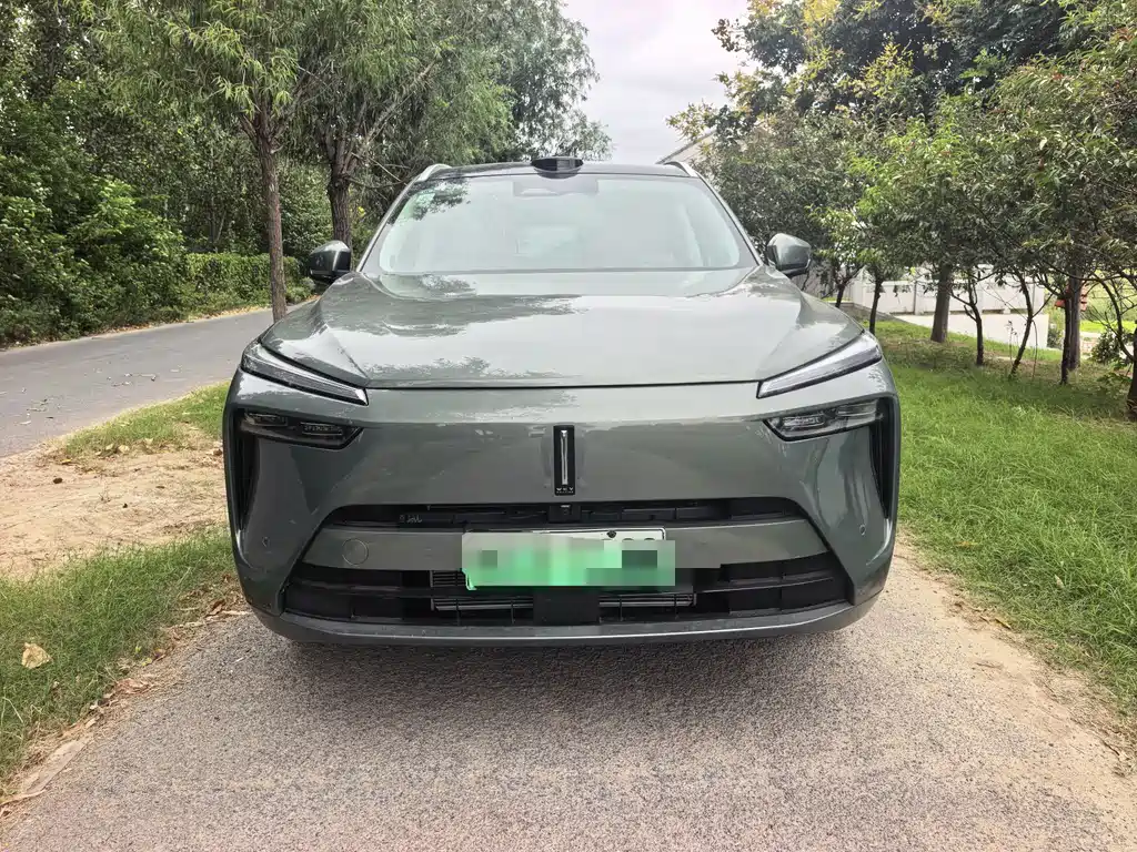 Wey Wey Lanshan — миниатюра 2