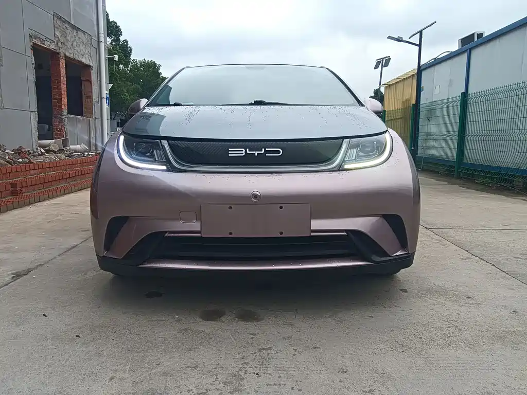 BYD Dolphin — миниатюра 3