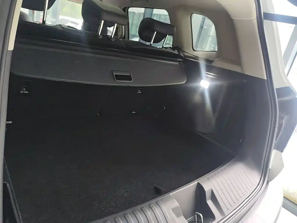 Haval Big Dog — миниатюра 19