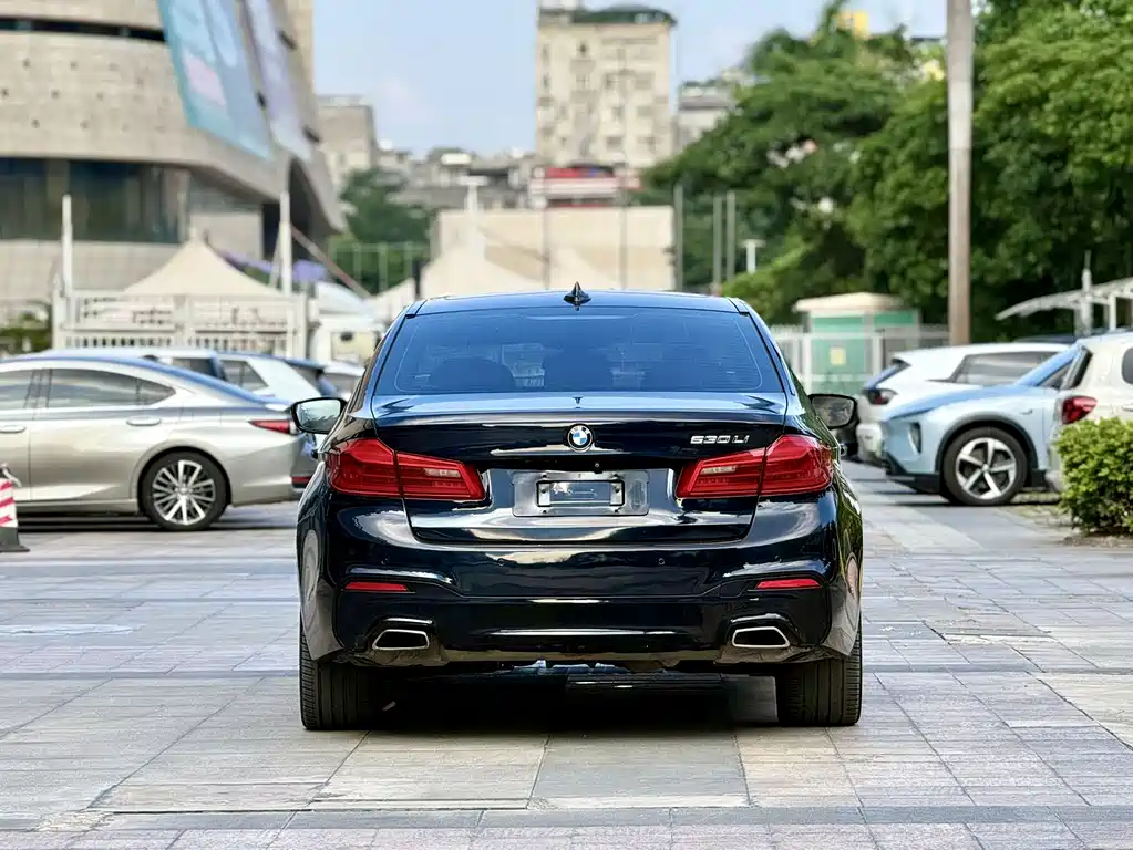 BMW 5 Series — миниатюра 5