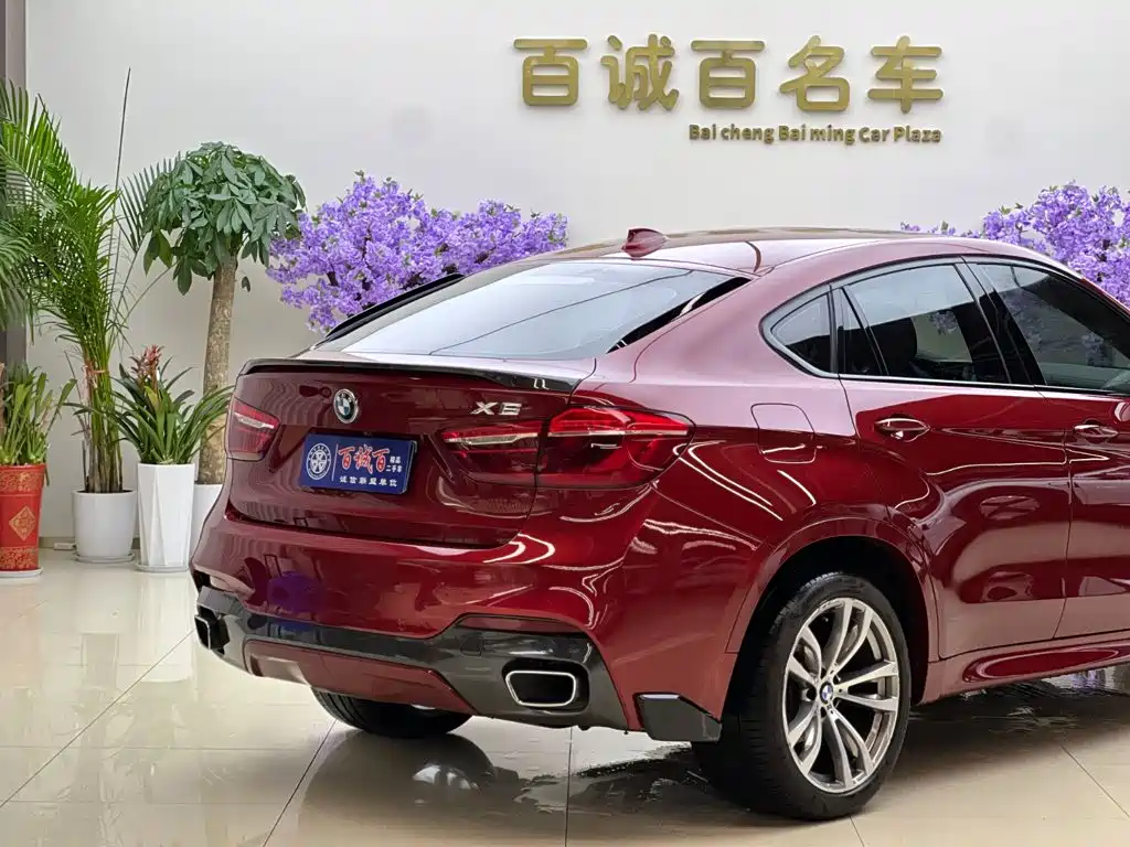 BMW X6 — миниатюра 6