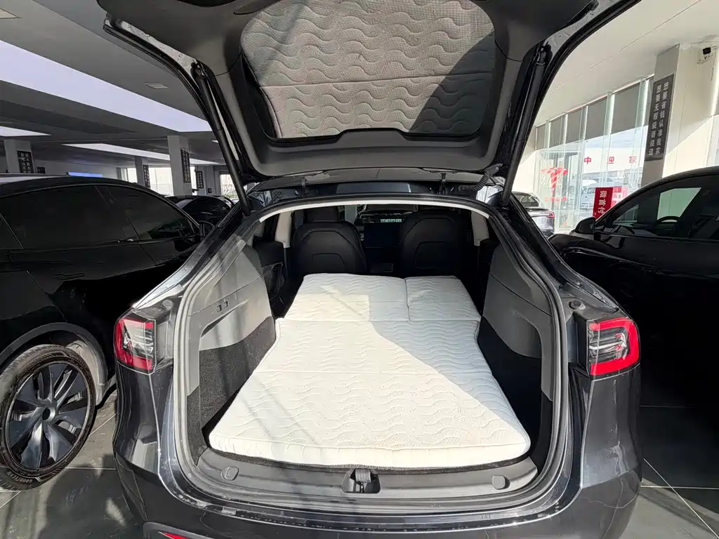 Tesla Model Y — миниатюра 5