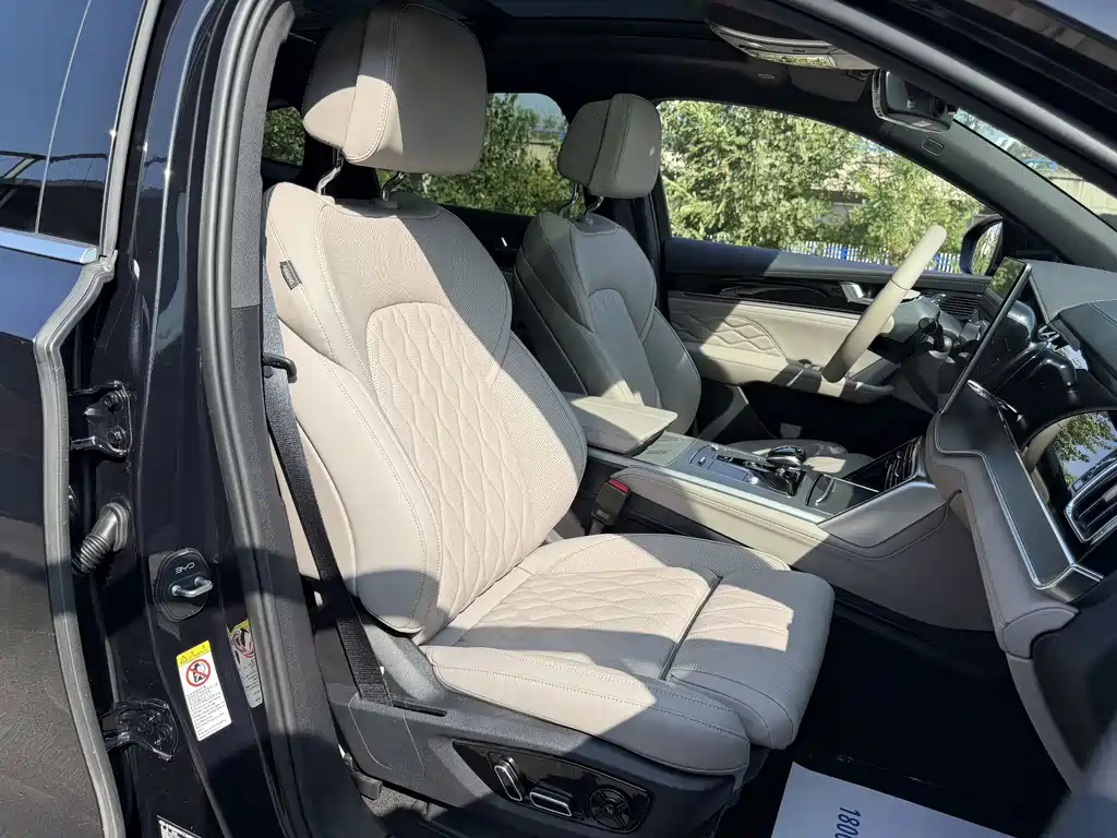 BYD Tang New Energy — миниатюра 12