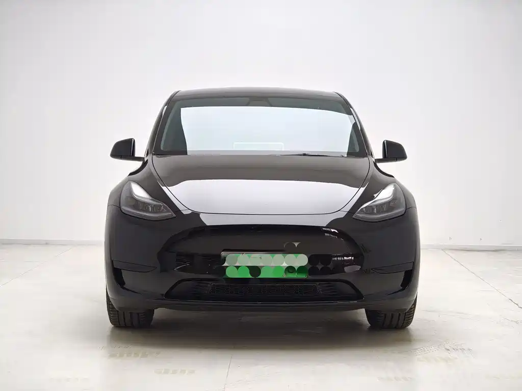 Tesla Model Y — миниатюра 2