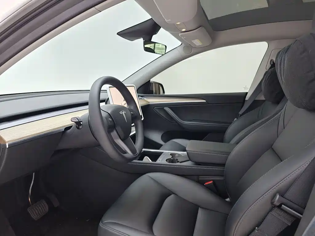Tesla Model Y — миниатюра 4